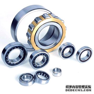 SKF��С�Բ���������